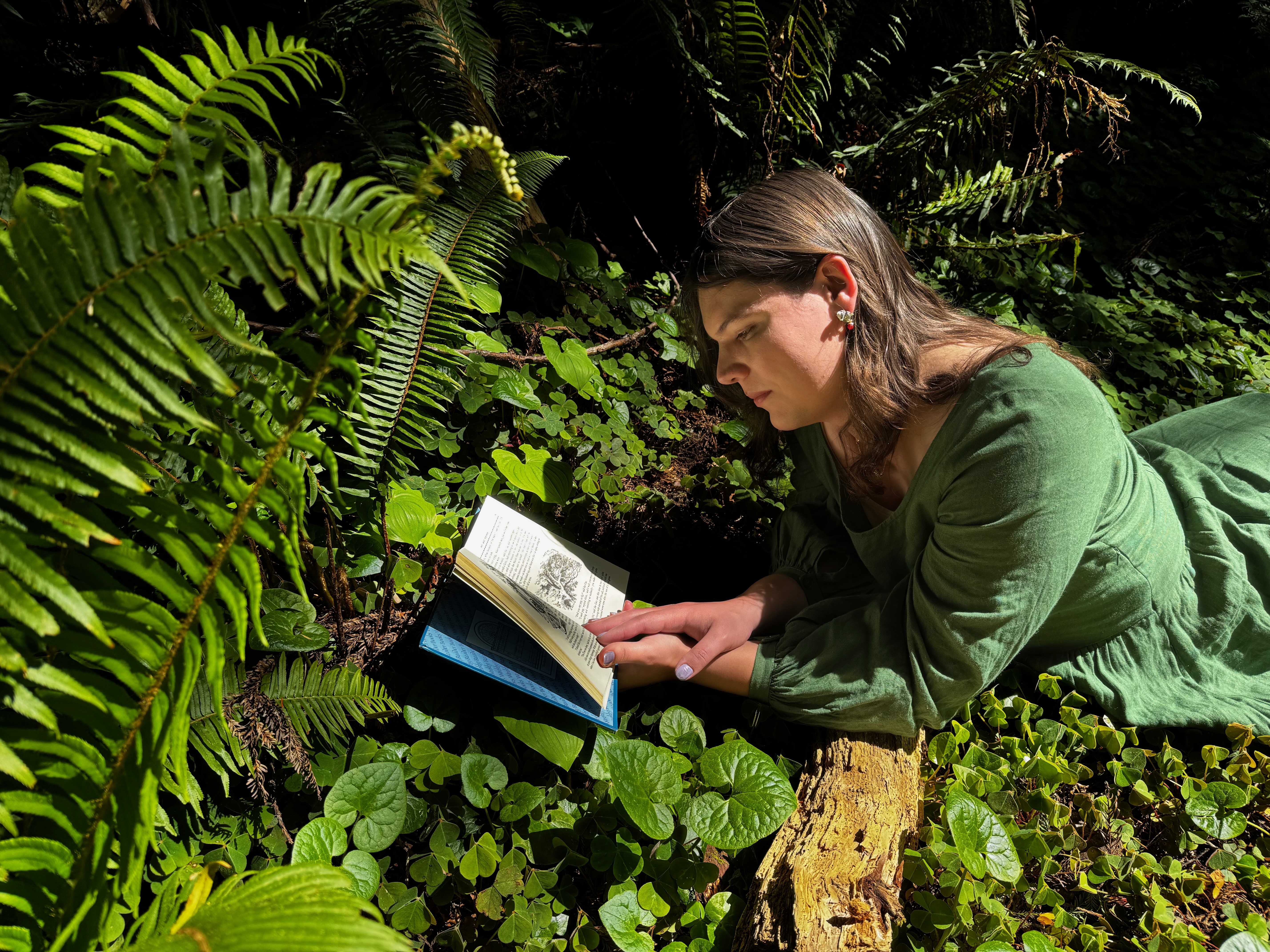 Portfolio image 9